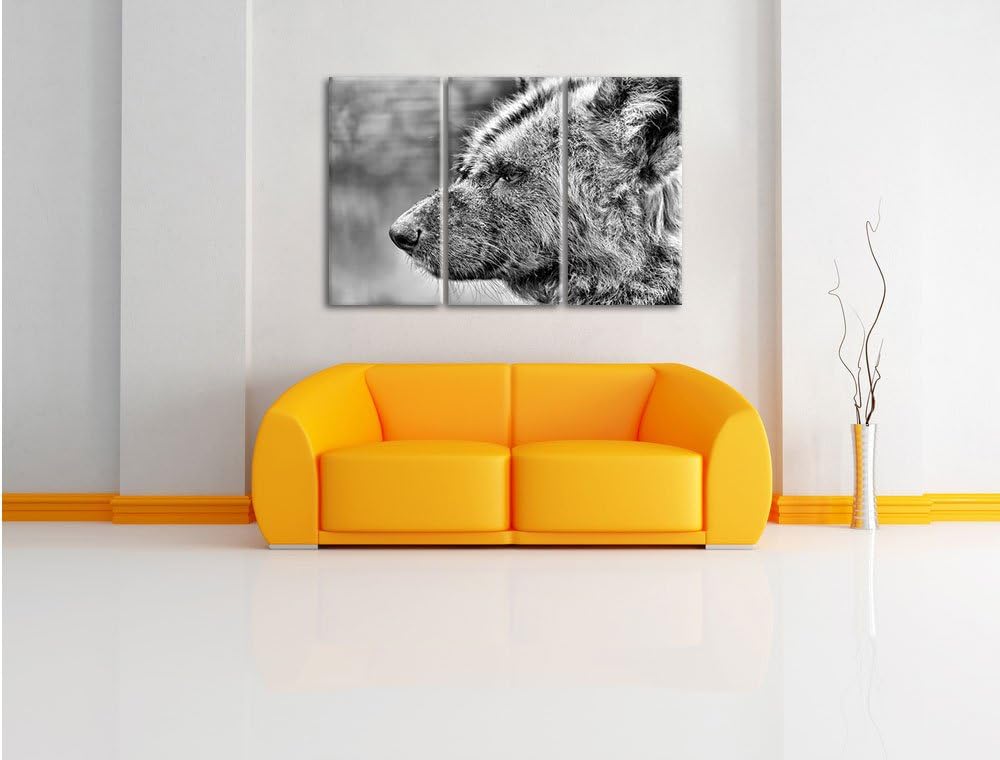 Pixxprint Hyäne im Seitenprofil als Leinwandbild/Grösse: 3 Teilig (120x80) cm/Wandbild/Kunstdruck/fe