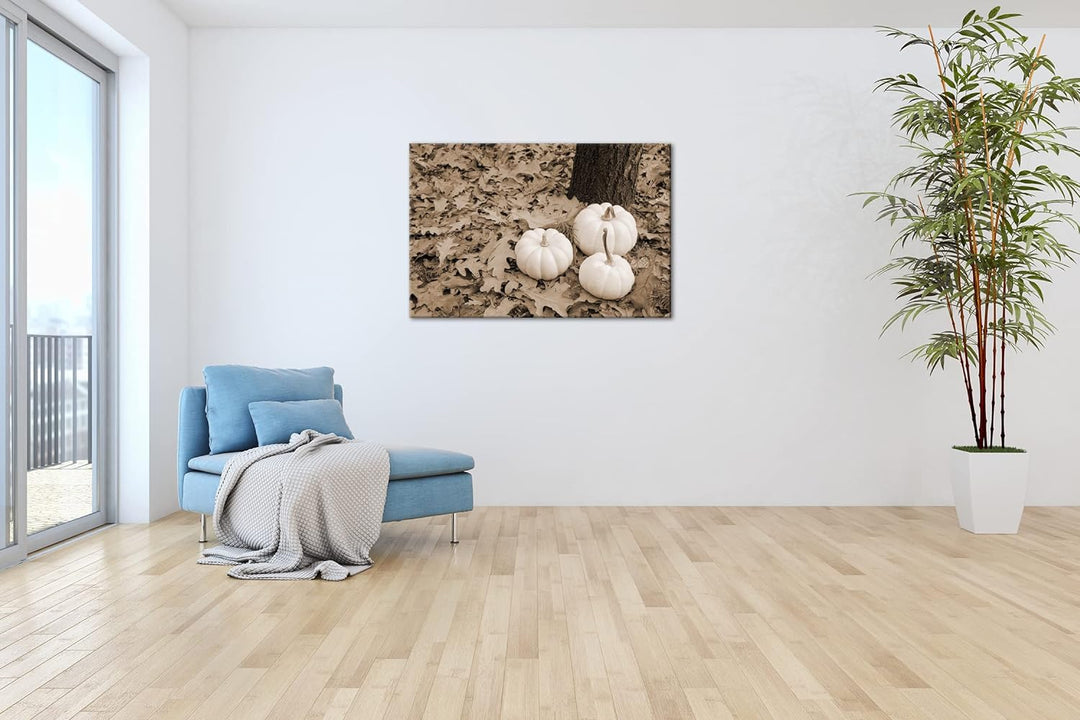deyoli frische Kürbise Effekt: Sepia Format: 100x70 als Leinwandbild, Motiv fertig gerahmt auf Echth