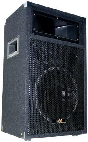 E-Lektron 500W DJ Party Lautsprecher Box - 25cm / 10" Bass PW25