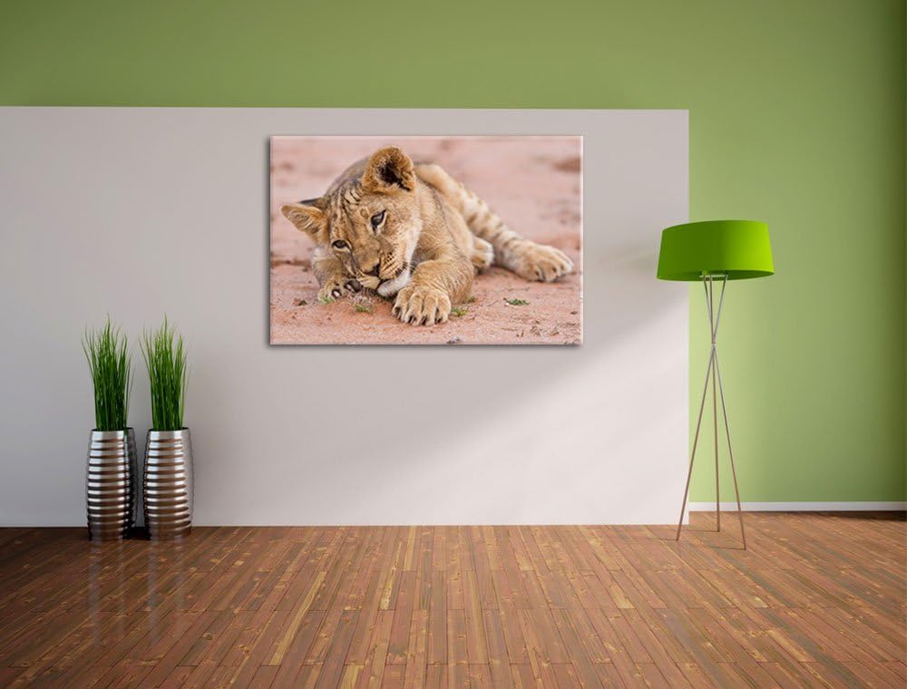 Löwenbaby spielt Format: 100x70 auf Leinwand, XXL riesige Bilder fertig gerahmt mit Keilrahmen, Kuns