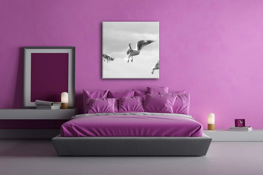 deyoli in Freiheit Fliegende Möwen im Format: 70x70 Effekt: Schwarz&Weiss als Leinwandbild, Motiv au