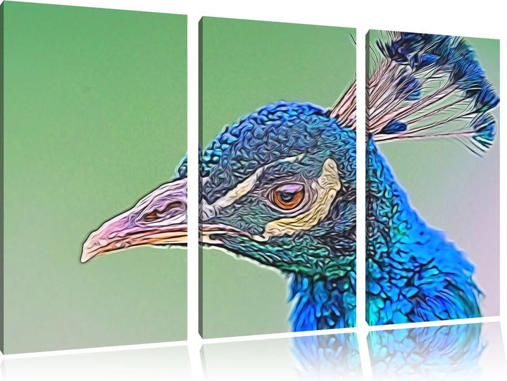 schöner farbenfroher Pfau Spezial 3-Teiler Leinwandbild 120x80 Bild auf Leinwand, XXL riesige Bilder