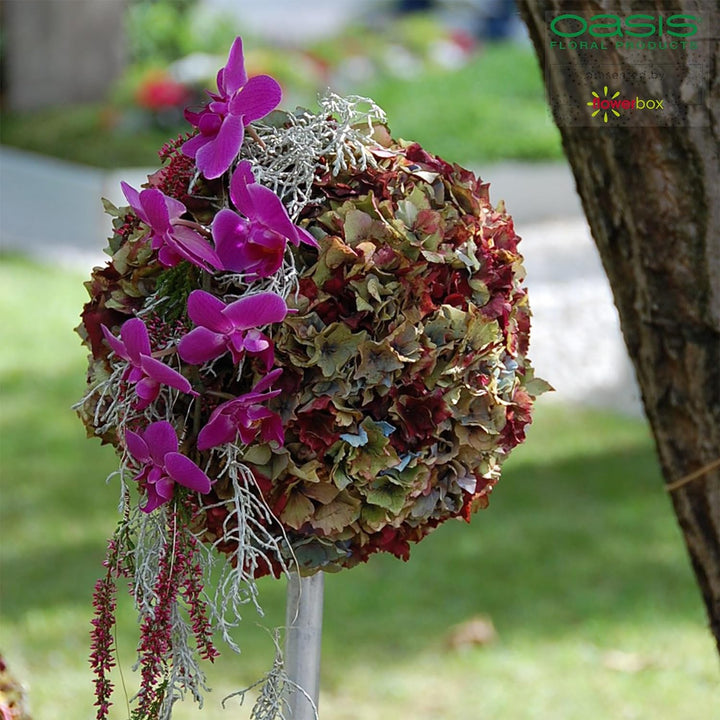 Flowerbox Oasis Steckschaum IDEAL Kugel Ø30cm Steckmasse Steckschwamm