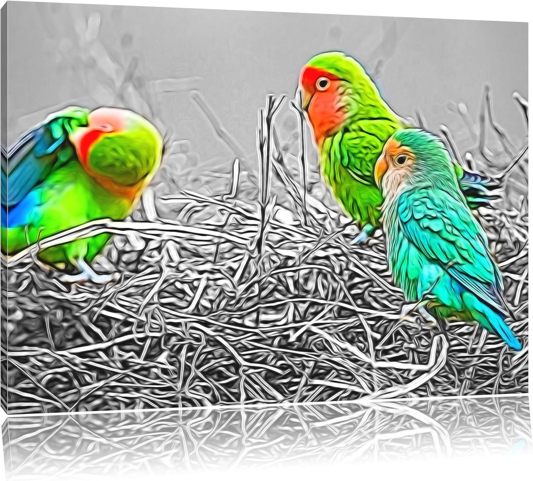 kleine süsse Papageien im Nest schwarz/weiss Deluxe Format: 100x70 cm auf Leinwand, XXL riesige Bild