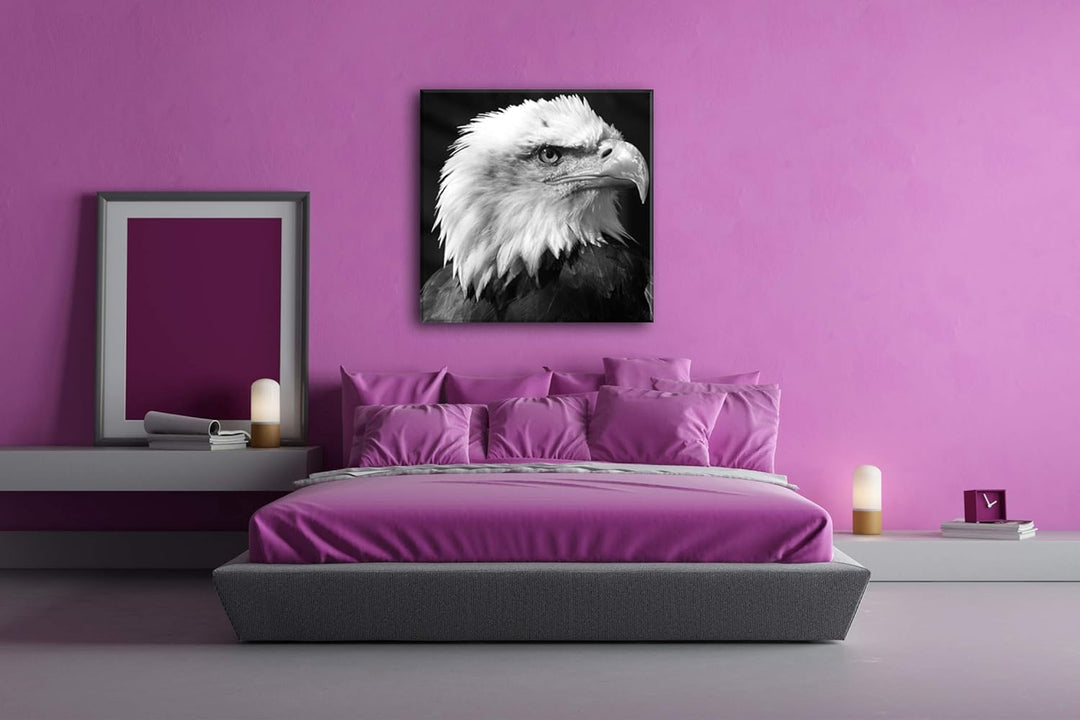 deyoli atemberaubender Weisskopfseeadler im Format: 70x70 Effekt: Schwarz&Weiss als Leinwandbild, Mo