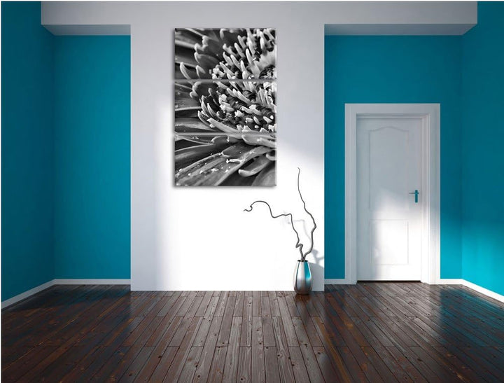Pixxprint Gerbera mit Wassertropfen als Leinwandbild/Grösse: 3 Teilig (120x80) cm/Wandbild/Kunstdruc