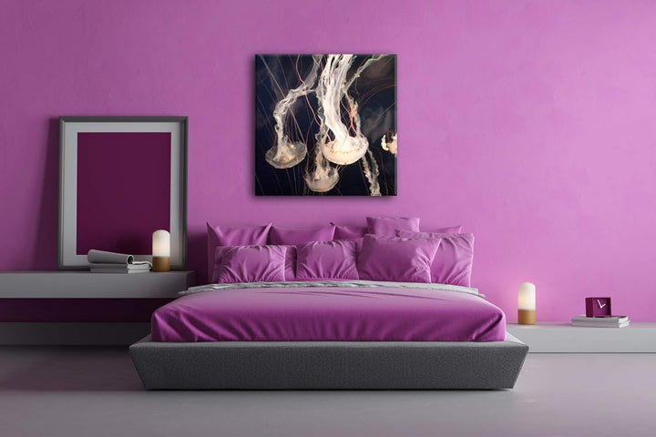deyoli elegant-schwimmende Quallen Format: 70x70 als Leinwand, Motiv fertig gerahmt auf Echtholzrahm