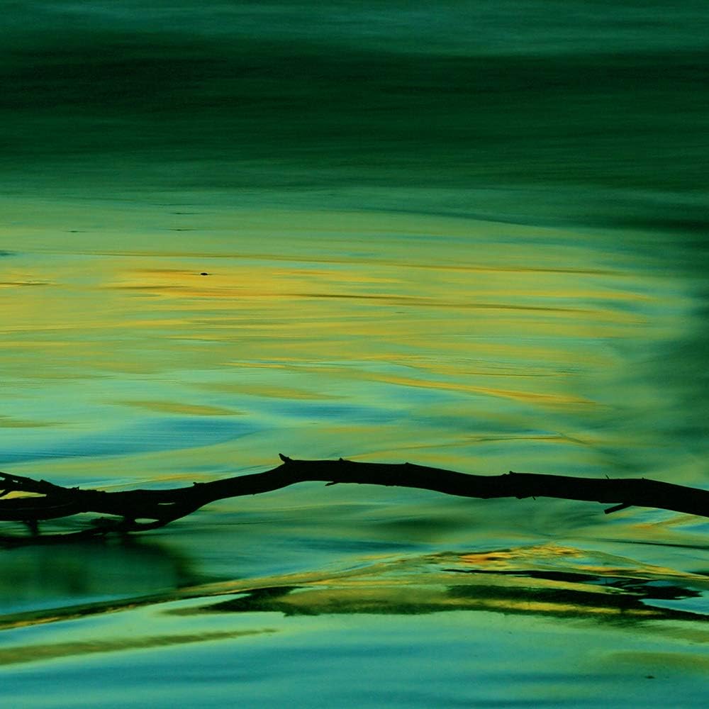 Feeby Bilder See 300x140 cm - Leinwandbild 5 Teilig XXL Kunstdruck Himmel Ast grün Leinwandbild XXL