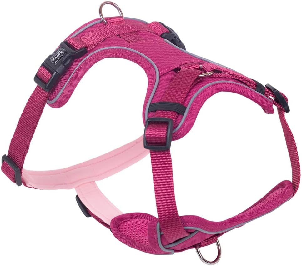 Nobby Komfort Geschirr MAILO, himbeere, M: Brust: 35-50 cm, Bauch: 60-75 cm, B: 20 mm, 1 Stück