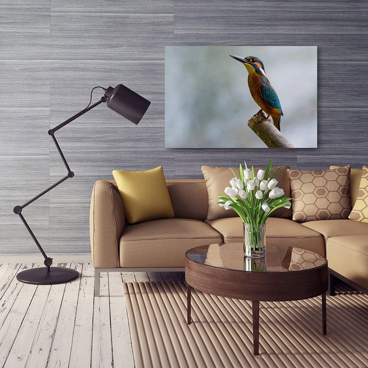 Feeby. Wandbild - 1 Teilig - 50x70 cm, Leinwand Bild Leinwandbilder Bilder Wandbilder Kunstdruck, VO