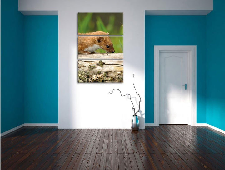 Pixxprint Fretchen auf Baumstamm 3-Teiler Leinwandbild 120x80 Bild auf Leinwand