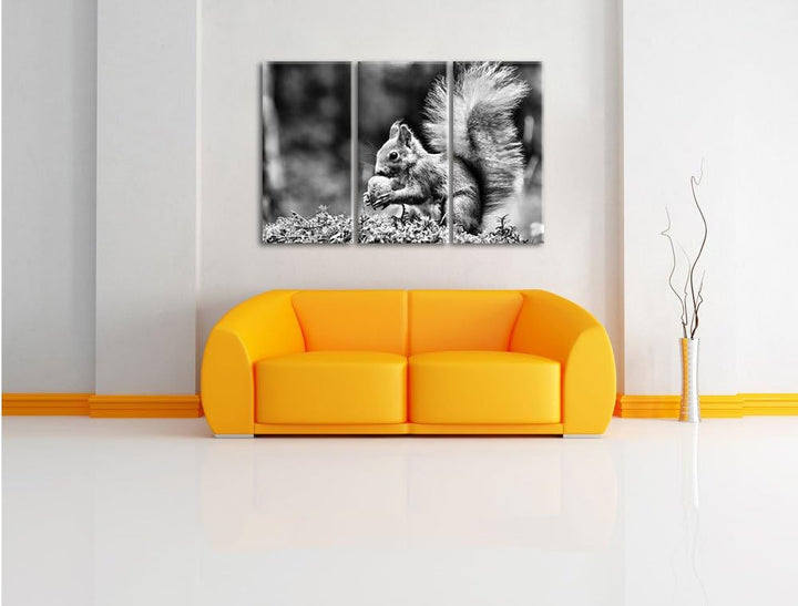 Pixxprint Eichhörnchen mit Nuss als Leinwandbild/Grösse: 3 Teilig (120x80) / Wandbild/Kunstdruck/fer