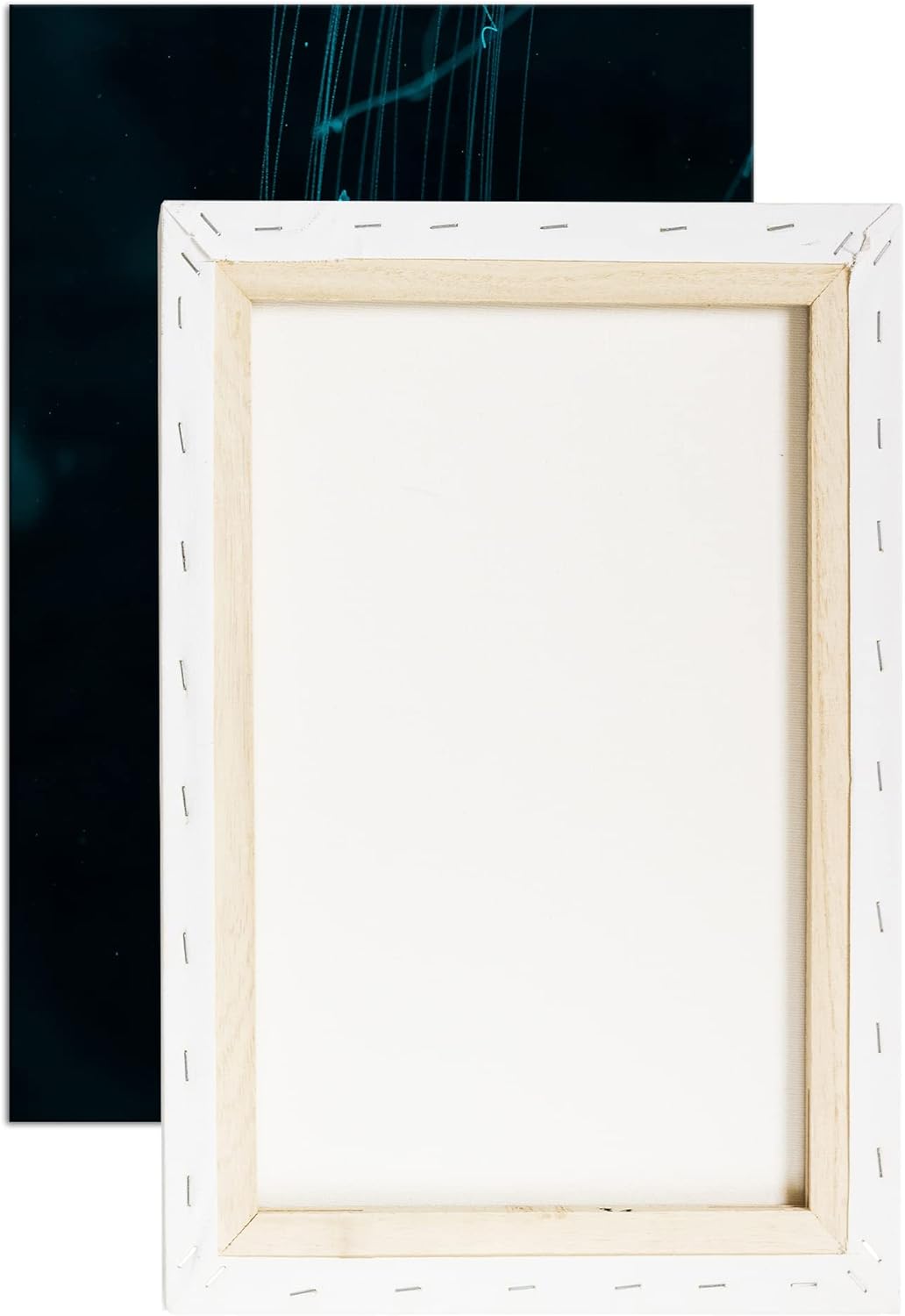 deyoli die langen Tentakel einer Qualle Format: 120x80 als Leinwandbild, Motiv fertig gerahmt auf Ec