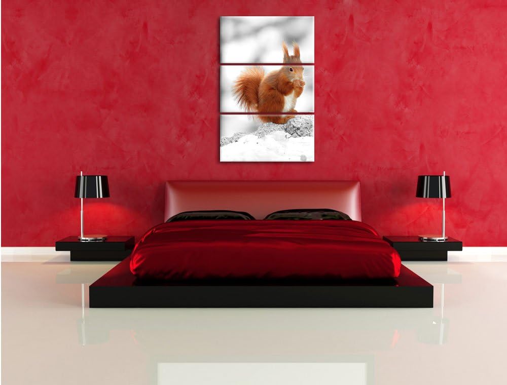 Pixxprint Eichhörnchen in verschneitem Wald als Leinwandbild/Grösse: 3 Teilig (120x80) cm/Wandbild/K