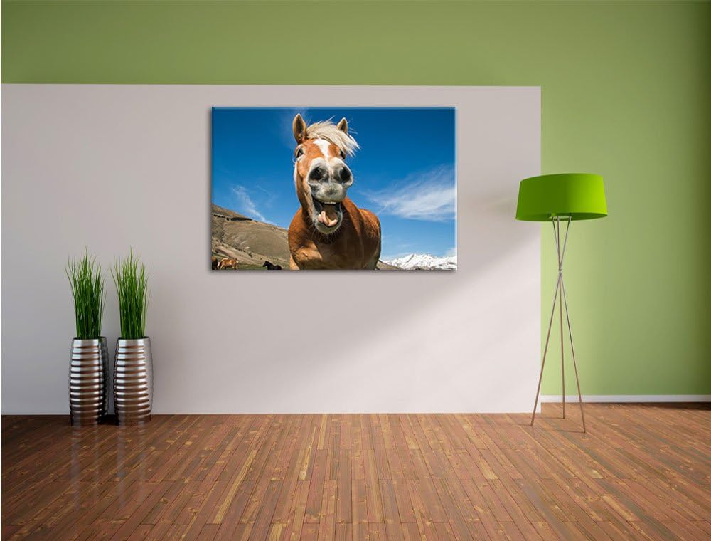 Pixxprint Lustiges Pferd in der Natur als Leinwandbild/Grösse: 100x70 cm/Wandbild/Kunstdruck/fertig