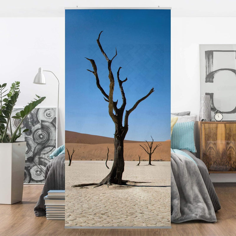 Bilderwelten Raumteiler Sossusvlei Namibia 250x120cm ohne Halterung, ohne Halterung