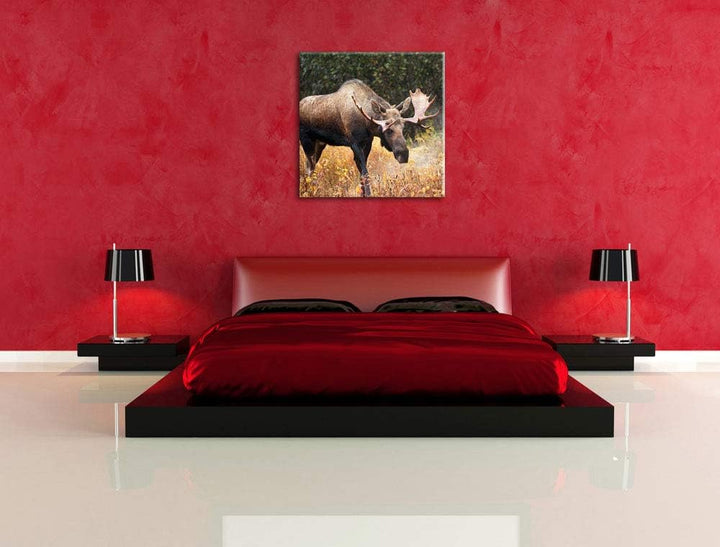Pixxprint Grosser Elch, Format: 70x70 auf Leinwand, XXL riesige Bilder fertig gerahmt mit Keilrahmen