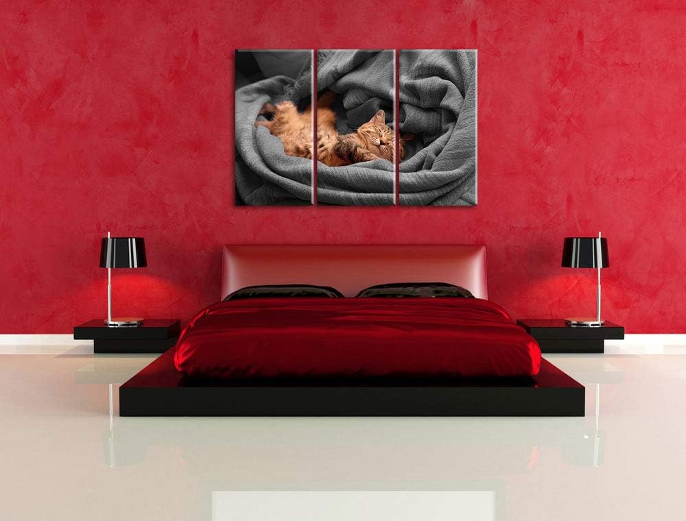 Pixxprint Bezaubernde schlafende Katze als Leinwandbild | Grösse: 3 Teilig (120x80) | Wandbild| Kuns