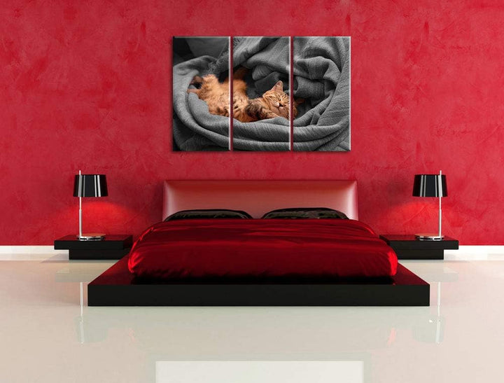 Pixxprint Bezaubernde schlafende Katze als Leinwandbild | Grösse: 3 Teilig (120x80) | Wandbild| Kuns
