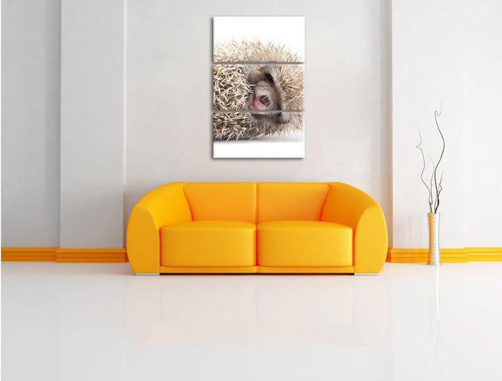 Pixxprint kleines niedliches Igel Baby als Leinwandbild/Grösse: 3 Teilig (120x80) cm/Wandbild/Kunstd