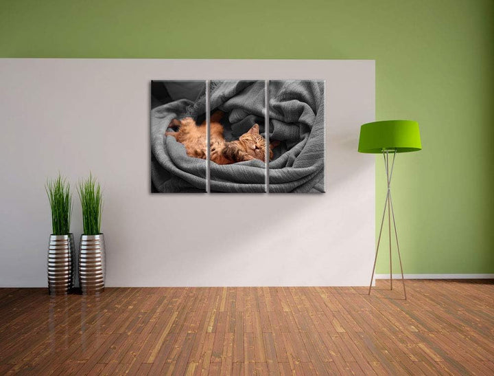 Pixxprint Bezaubernde schlafende Katze als Leinwandbild | Grösse: 3 Teilig (120x80) | Wandbild| Kuns