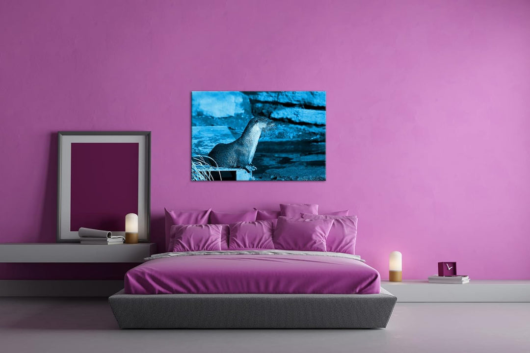 deyoli niedlicher kleiner Otter Format 80x60 Effekt: Monocrome Blau als Leinwandbild, Motiv fertig g