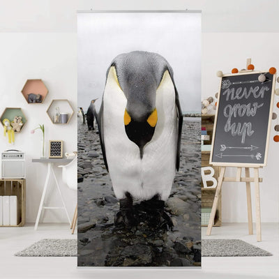 Bilderwelten Raumteiler Pinguine 250x120cm inkl. transparenter Halterung 250x120cm incl. transparent