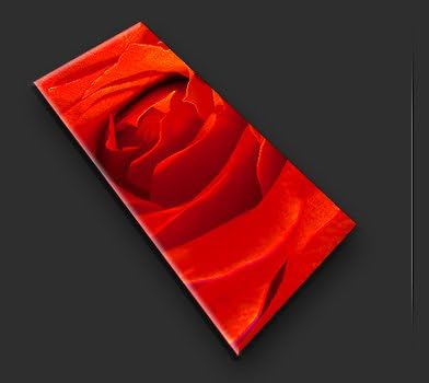 islandburner Bild Bilder auf Leinwand Bed Me Rose Pop Art Blumen Rosen XXL Poster Leinwandbild Wandb