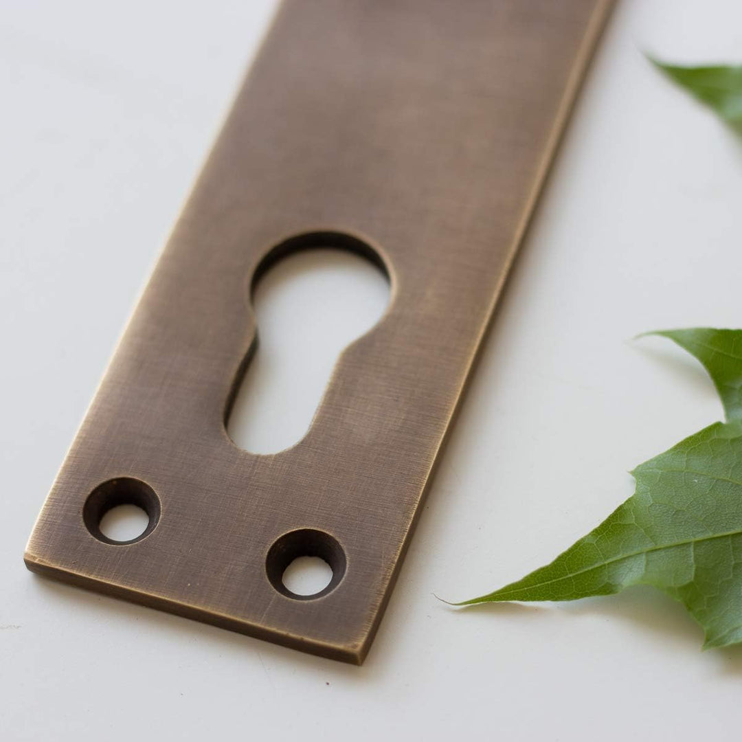 Antikas - Retro Türbeschlag, Langschild "CAVO" in Messing patiniert, PZ72