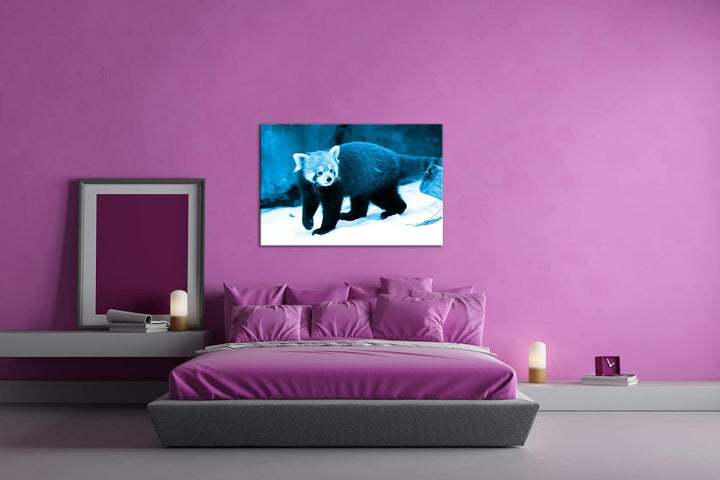 deyoli niedliches Tier in Schneelandschaft Format 80x60 Effekt: Monocrome Blau als Leinwandbild, Mot