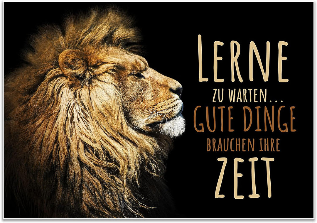 wandmotiv24 Poster als Wanddeko, Grösse 100x70cm, lerne zu warten, Zeit, Löwe, Moderne Wanddeko, Wan