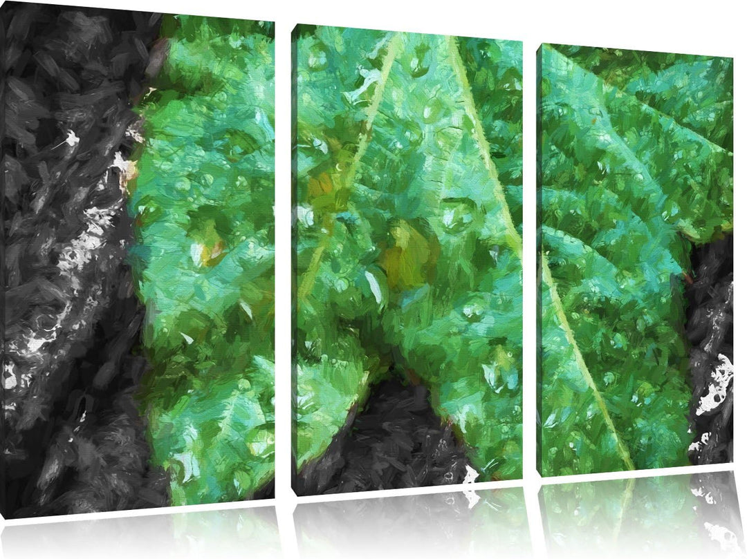 viele kleine Regentropfen auf Blatt schwarz/weiss Deluxe 3-Teiler Leinwandbild 120x80 Bild auf Leinw