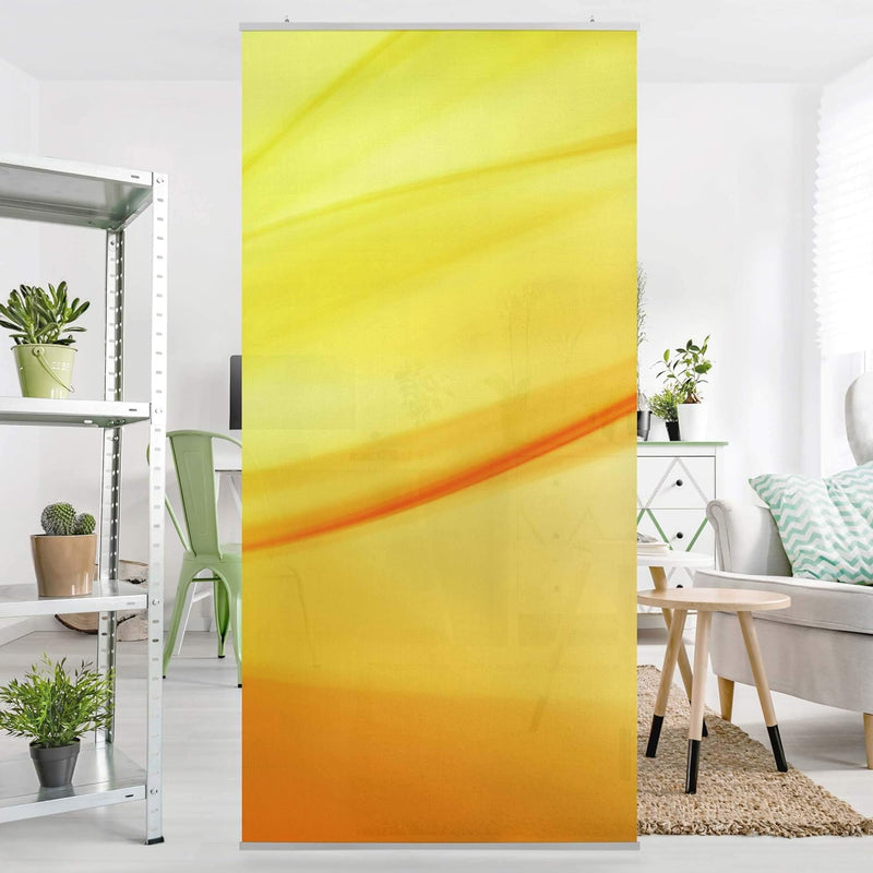 Bilderwelten Raumteiler Gold Fever 250x120cm inkl. transparenter Halterung 250x120cm incl. transpare