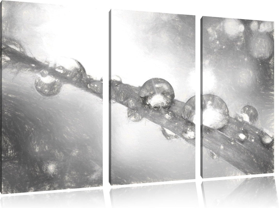 Pixxprint Wassertropfen auf Grashalm Kunst Kohle Effekt 3-Teiler Leinwandbild 120x80 Bild auf Leinwa