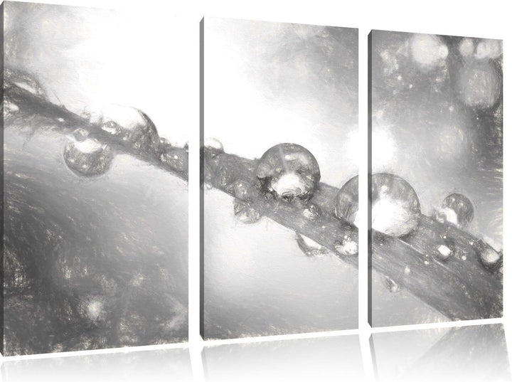 Pixxprint Wassertropfen auf Grashalm Kunst Kohle Effekt 3-Teiler Leinwandbild 120x80 Bild auf Leinwa