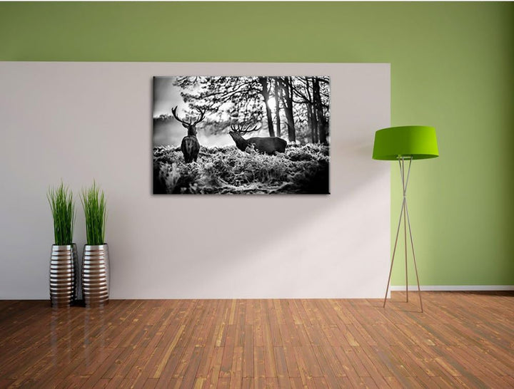 Pixxprint Hirsch Rivalen kämpfen als Leinwandbild/Grösse: 100x70 cm/Wandbild/Kunstdruck/fertig bespa