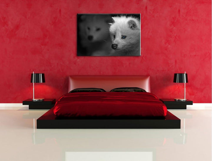 hübscher Polarfuchs in Höhle schwarz/weiss auf Leinwand, XXL riesige Bilder fertig gerahmt mit Keilr