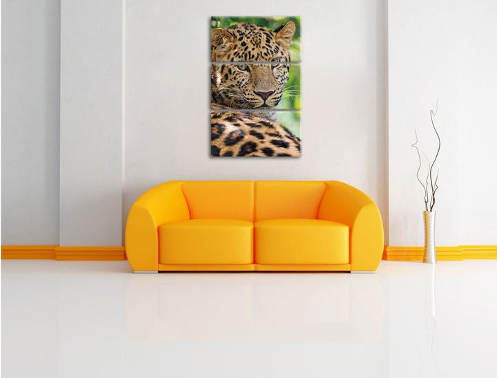 Pixxprint aufmerksamer Leopard im Schatten als Leinwandbild/Grösse: 3 Teilig (120x80) cm/Wandbild/Ku