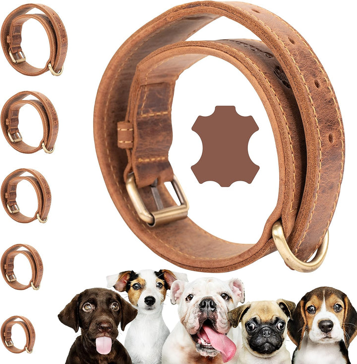 Darcis Hundehalsband Braun - Extrem Robustes Lederhalsband aus hochwertigem Rindsleder - Ideal für S
