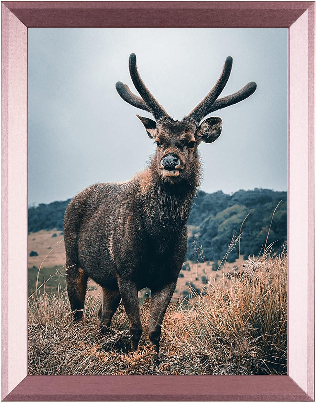 Rahmendesign24 Posterrahmen Rio 42x59,4 (DIN A2) Roségold Fotorahmen, Wechselrahmen, Bilderrahmen, 4