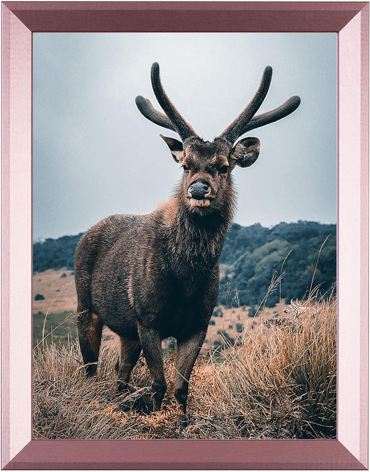Rahmendesign24 Posterrahmen Rio 42x59,4 (DIN A2) Roségold Fotorahmen, Wechselrahmen, Bilderrahmen, 4