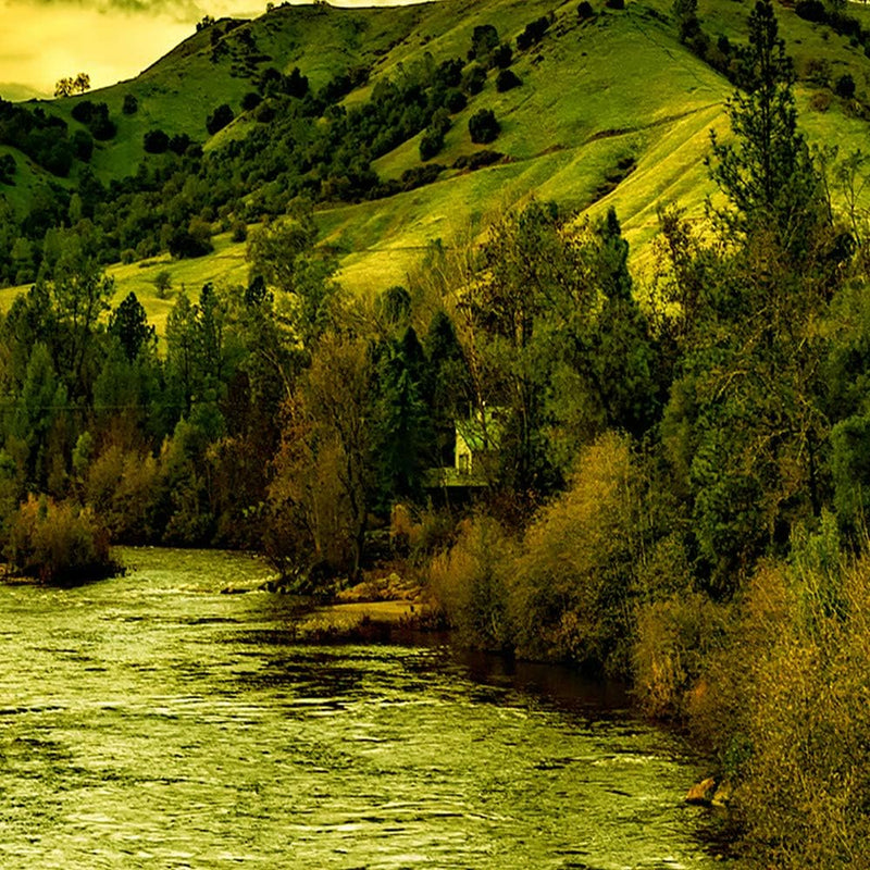 Bilder Natur 250x120 cm - Leinwandbild 5 Teilig XXL Kunstdruck Fluss Wald grün Leinwandbild XXL 250x