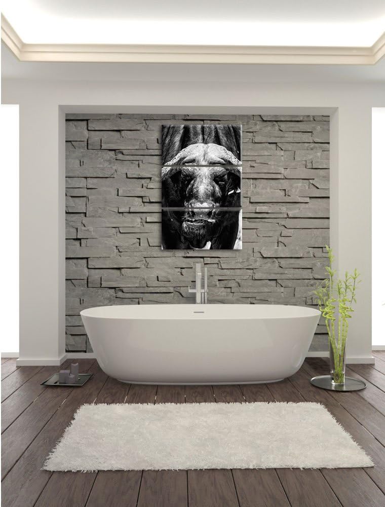Pixxprint Wasserbüffel Schwarz/weiss 3-Teiler Leinwandbild 120x80 Bild auf Leinwand