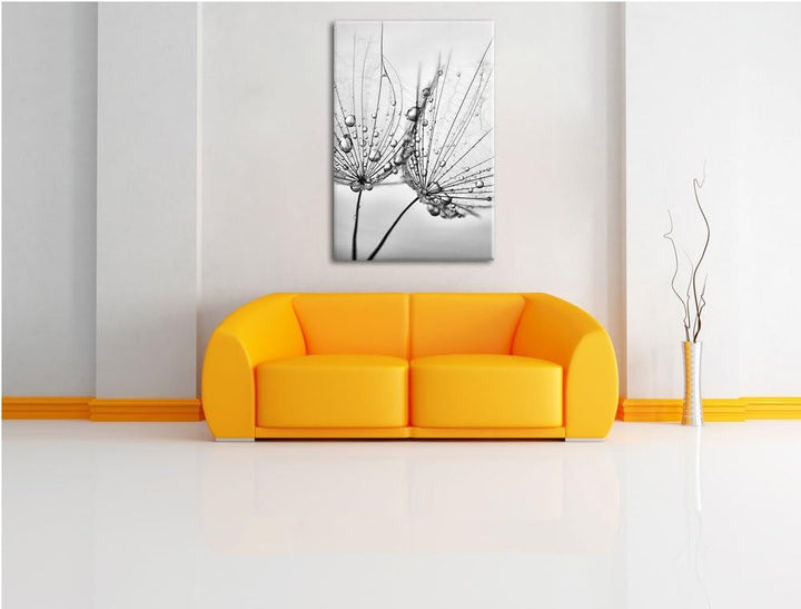 Pixxprint Monocrome, Pusteblumen mit Tautropfen, Format: 100x70 auf Leinwand, 100x70