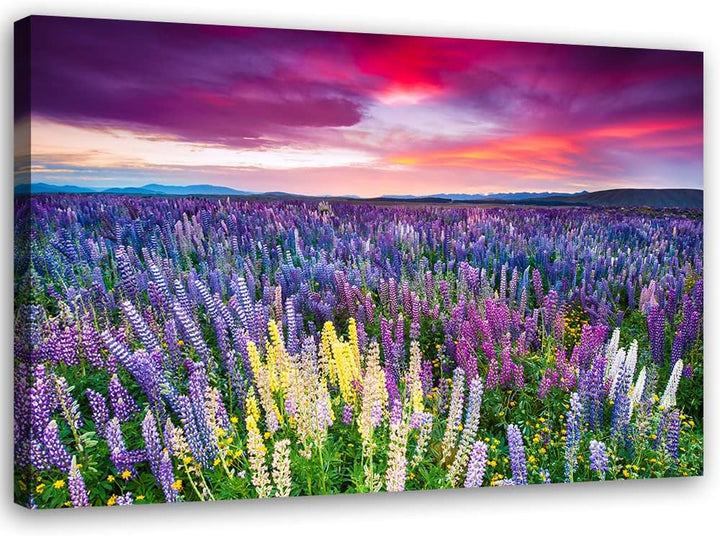 Feeby Vlies Leinwandbild XXL Abendhimmel Blumen Wiese 120x80 cm Wandbild Kunst Bilder Schlafzimmer D