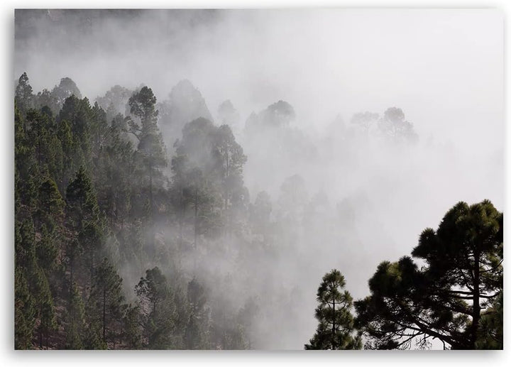 Feeby Leinwand Bilder - Natur - Wald - 120x80 cm- Deko Wohnzimmer - Wandbilder Schlafzimmer - Deko A