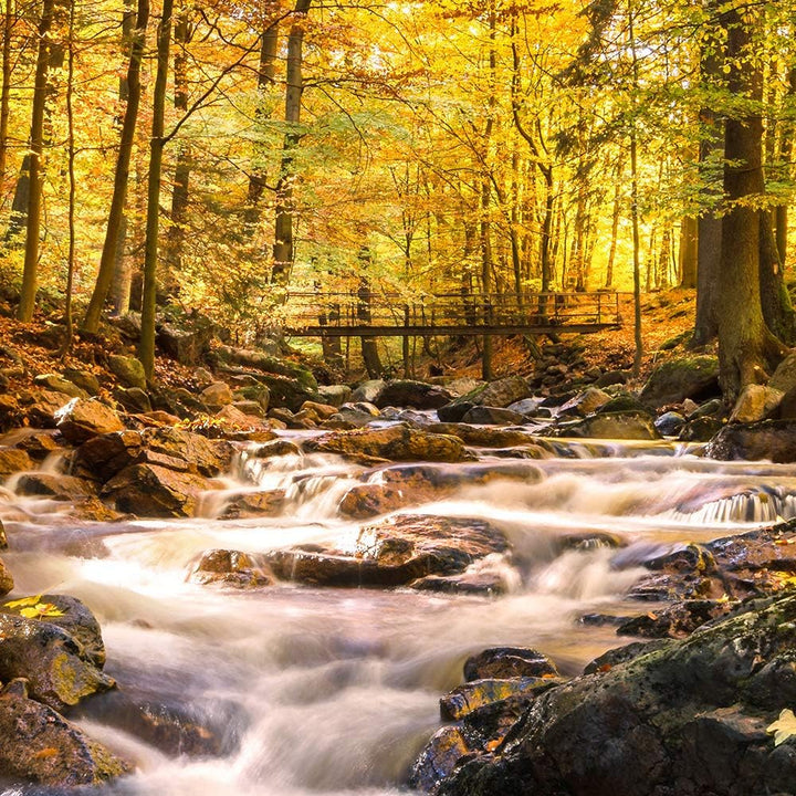 Feeby Viles - Leinwand Bilder - Fensterblick Natur- 120x80 cm- Deko Wohnzimmer - Wandbilder Schlafzi