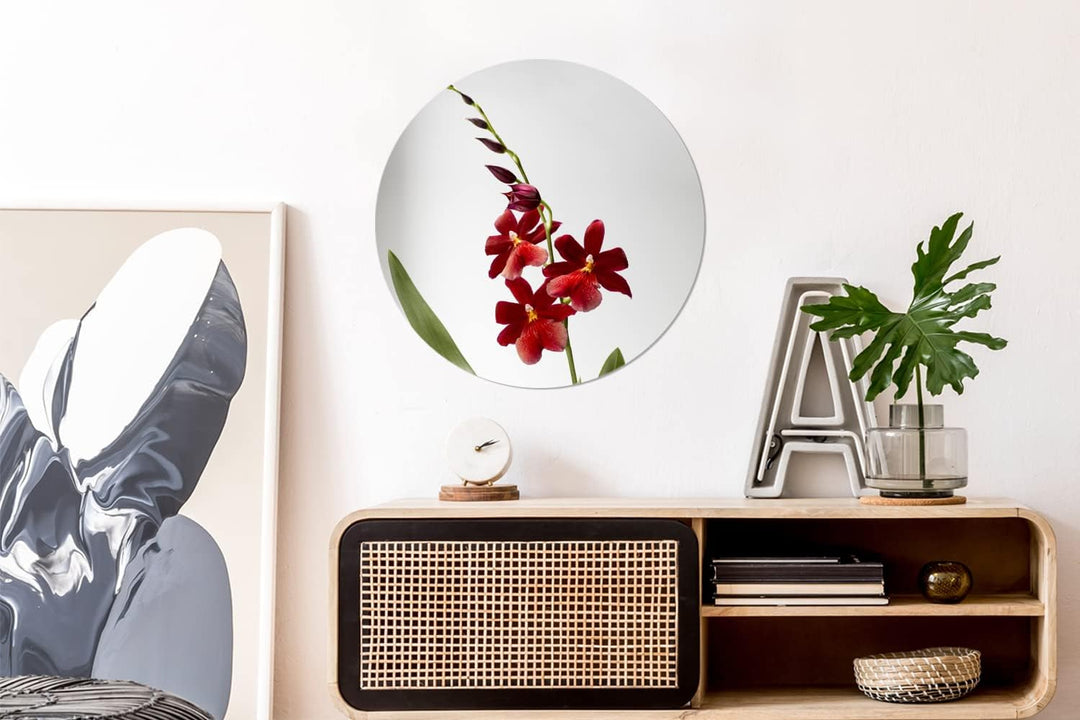 MuchoWow Wandbild Rund Wanddeko Deko Wohnzimmer Bilder 60x60 cm Rote Orchidee mit Blättern auf weiss