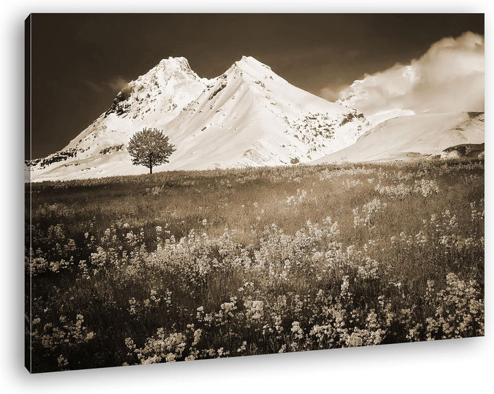 verführerisches Wiese vor denn eisigen Alpen Format: 80x60 Effekt: Sepia als Leinwandbild, Motiv fer