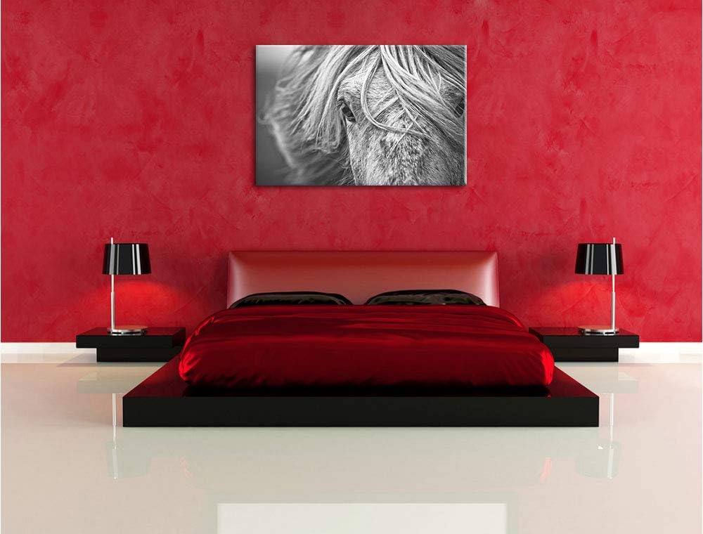 Pixxprint Islandpony in den Westfjorden als Leinwandbild/Grösse: 100x70 cm/Wandbild/Kunstdruck/ferti